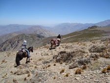 Chile-Northern Chile-Norte Chico Condor Trail
